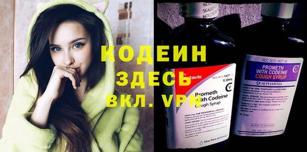 молекула духа Алзамай