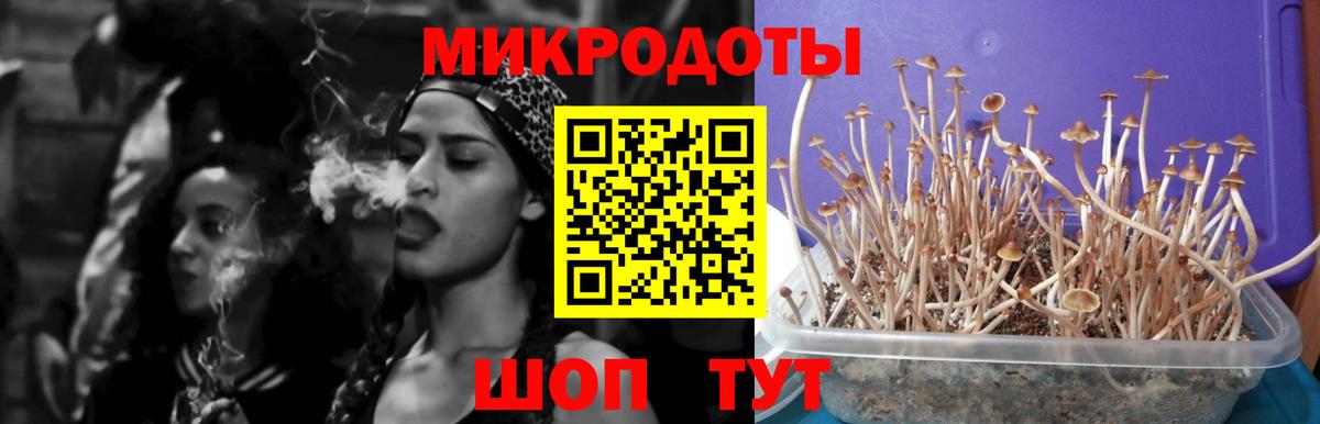 Галлюциногенные грибы прущие грибы Соликамск